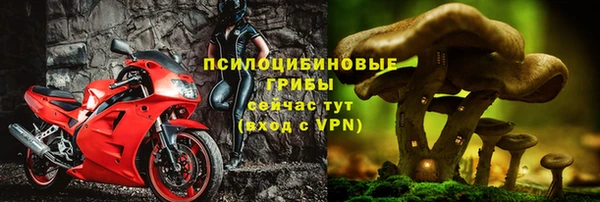 твердый Алексин